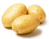 Potato Log님의 프로필 사진