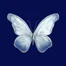 Profile picture of anusha