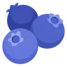 Profile picture of sney