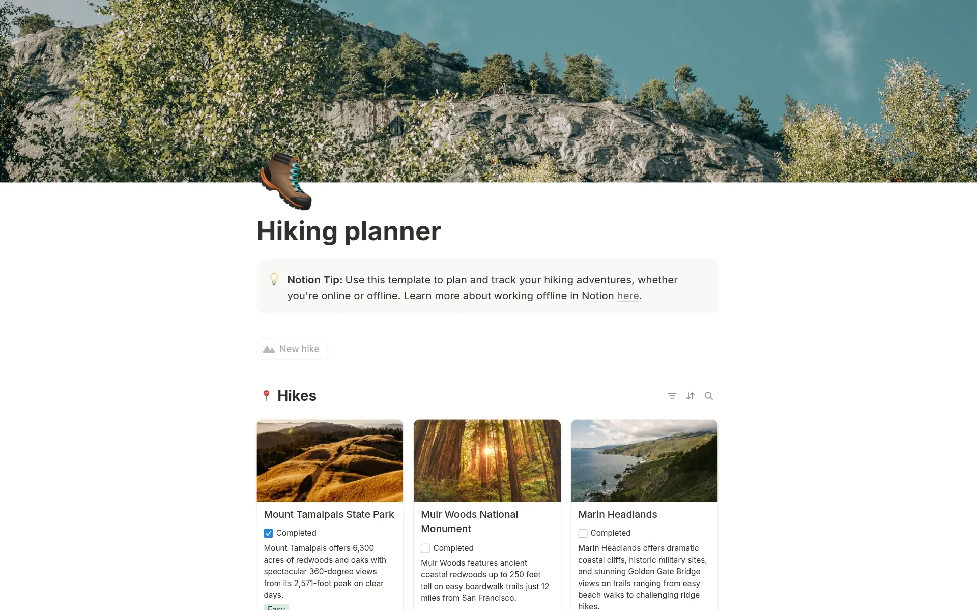 Capture d’écran de la collection Your digital detox playground par Notion